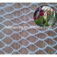 Hot sell 100% virgin HDPE plastic knotless bird mist net with cheap price